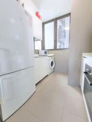 Skyline Residences (D4), Condominium #516836381